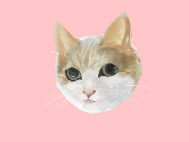 リアルのお友達の猫ｻﾝ