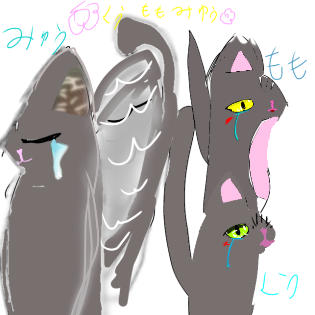 くうももみゅう