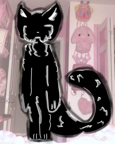 Mr. kitty
