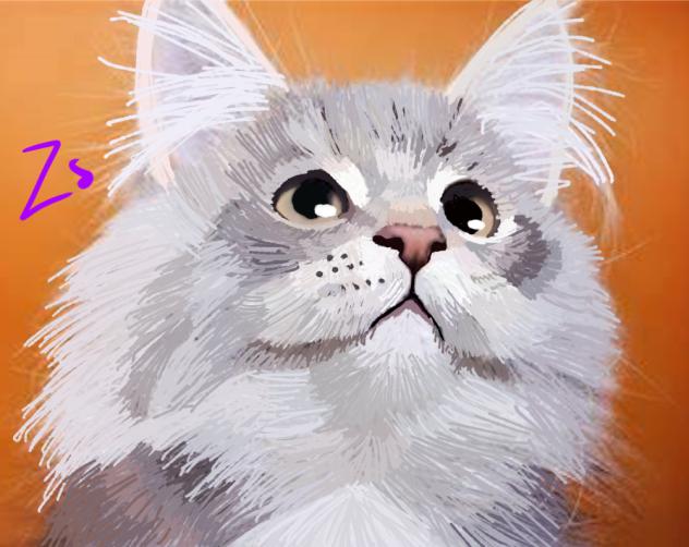 It's... you guessed it ANOTHER cat - ibisPaint