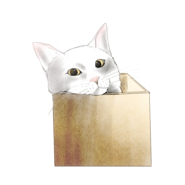 箱ねこ