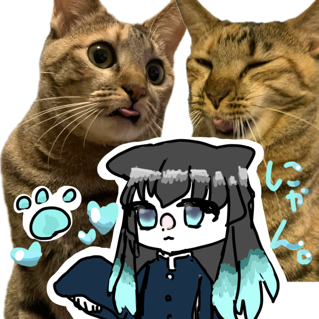 猫むいむい