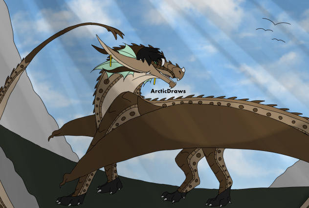 ArcticDraws Banner - 2023