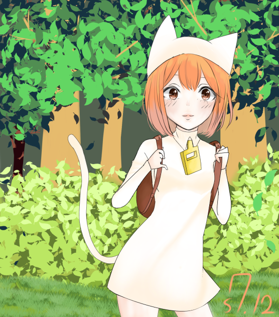 Stray Cat Doors ibisPaint