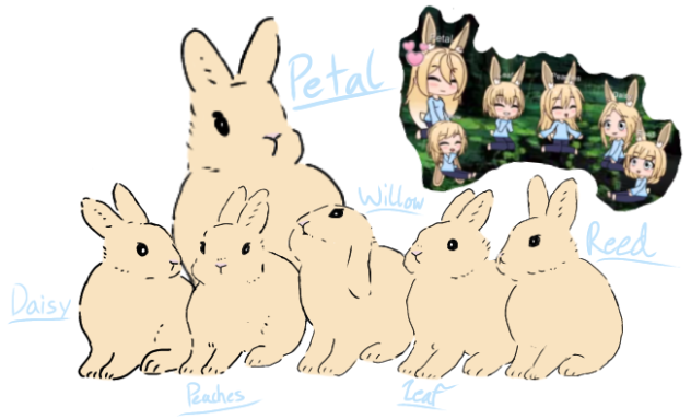 Beetle’s Bunny Fluffle