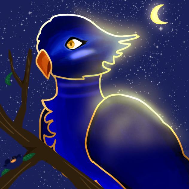 Moon Bird