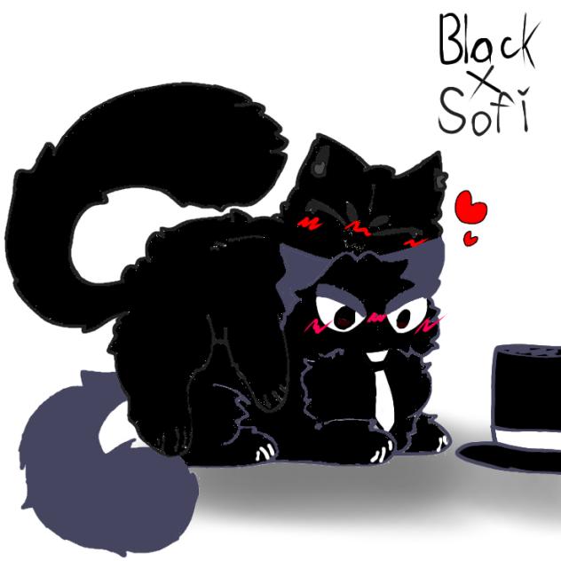 Black X Sofi🖤