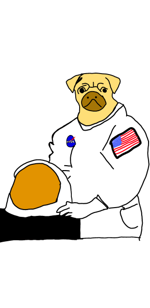 Neil pugstrong