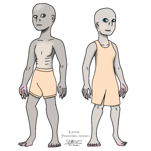 Tiqojarhan Dairk - Iljewar