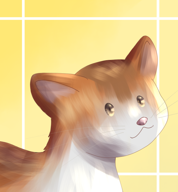 🐱