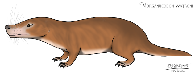Morganucodon watsoni