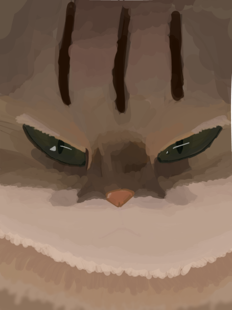 Kitty cat - ibisPaint