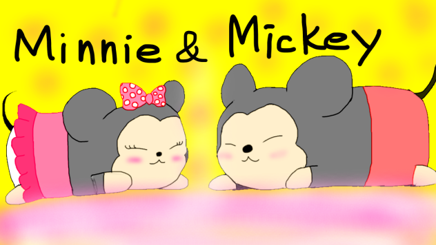 Minnie & Mickey
