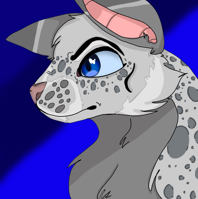 cat drawing - ibisPaint