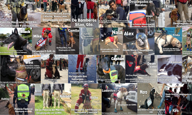 México  💚🌚❤