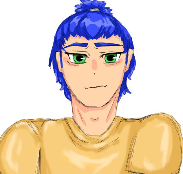 Sonic the hedgehog