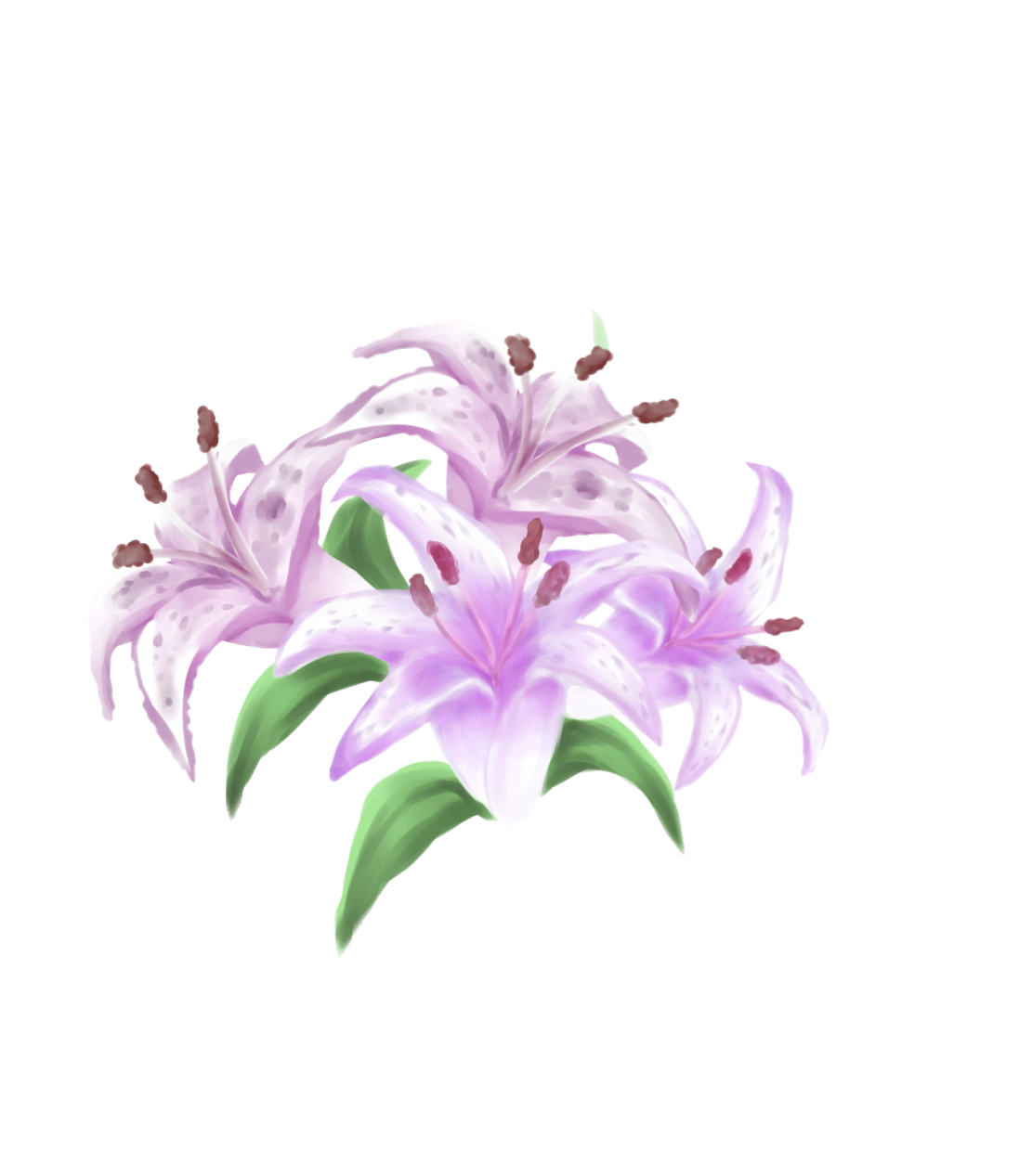 アイビスの花の絵 愛用 - block.nu