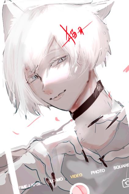 🐈　差分