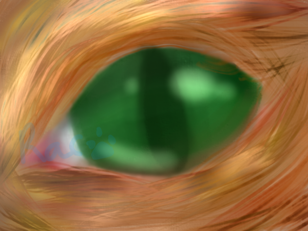 Cat's eye