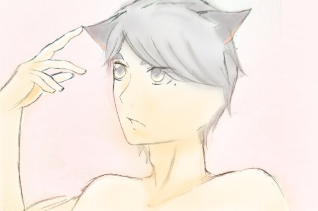 猫の日