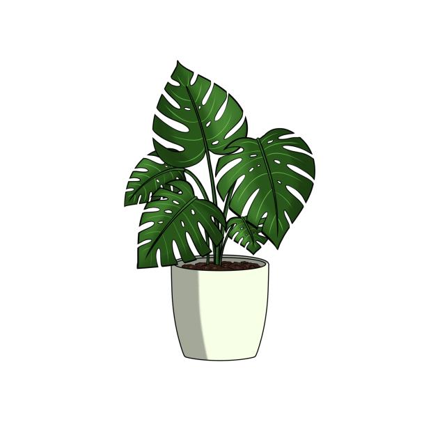Indoor Plant sticker 4