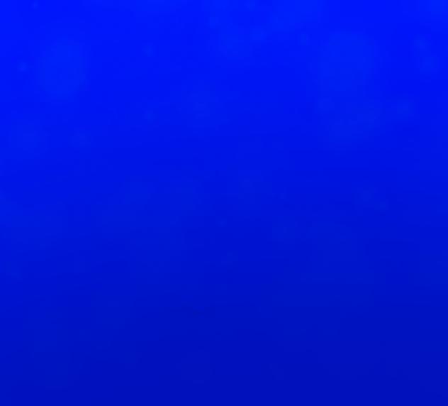 🐟Fish Under The Sea🐟