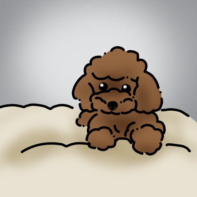 トイプードル２