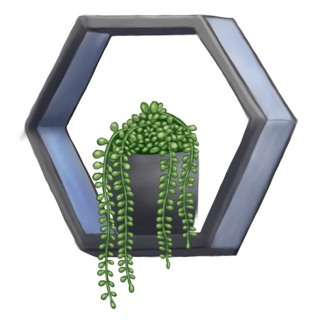 String of Pearls