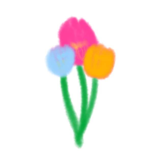 🌷Tulip  Flowers🌷