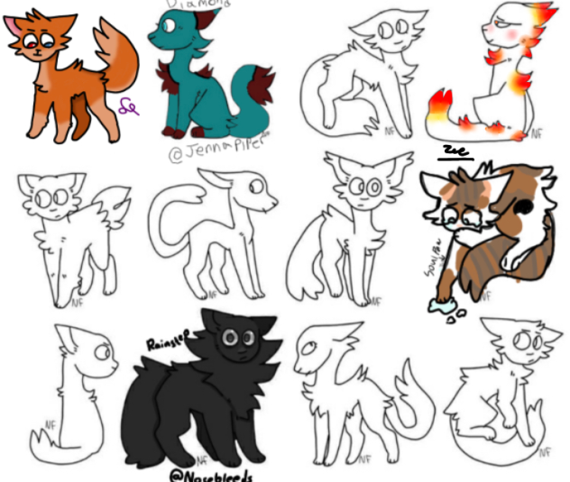 Cat collab