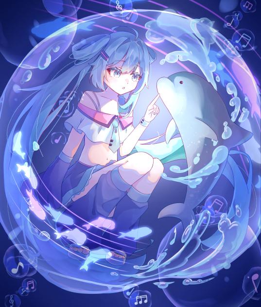 ミク×イルカ