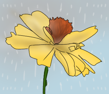 random flower