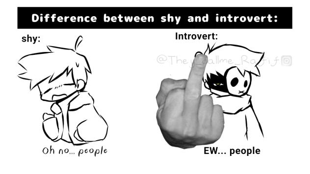 Meme