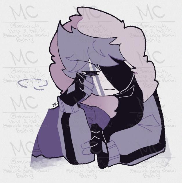 narwhals swimming in the ocean