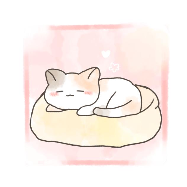 お昼寝中の猫！
