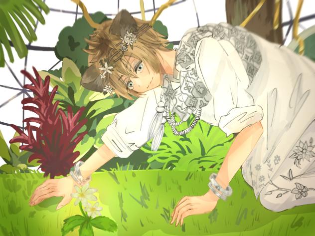 フェアリーガラ