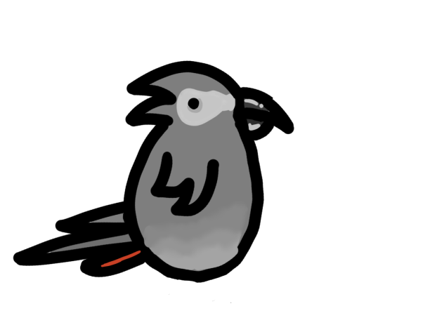 Congo African Grey Parrot