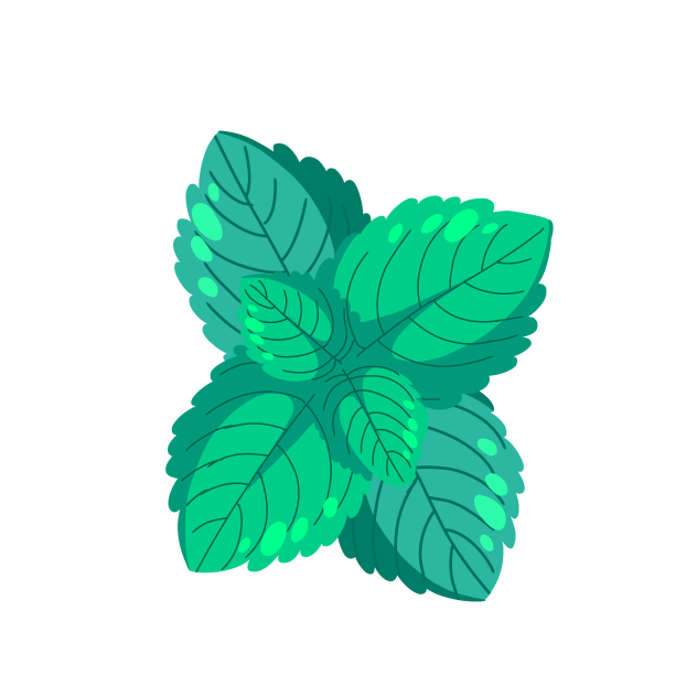 Peppermint leaf