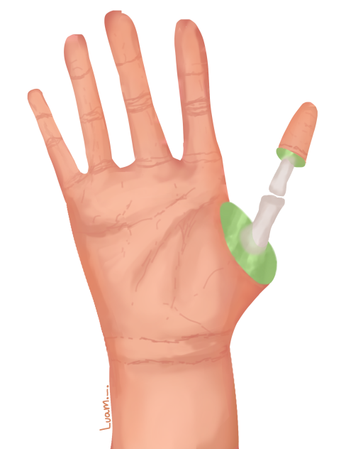 hand
