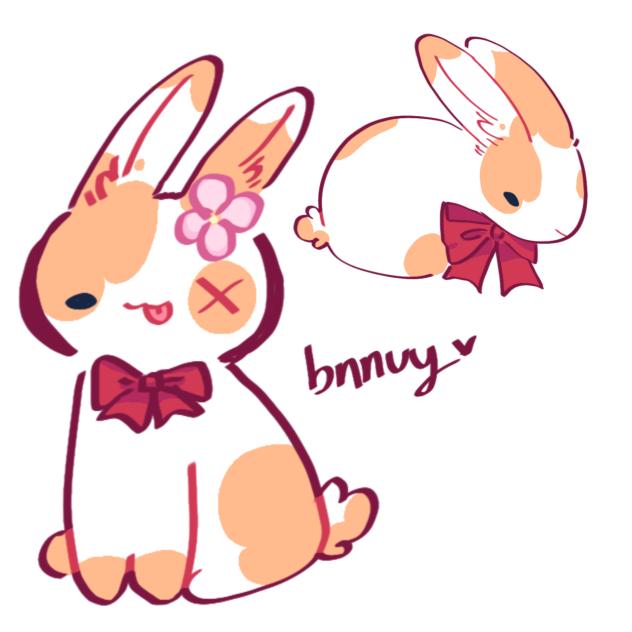 Bnnuy