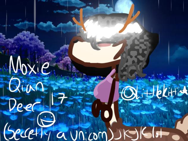 #heroFit character entry