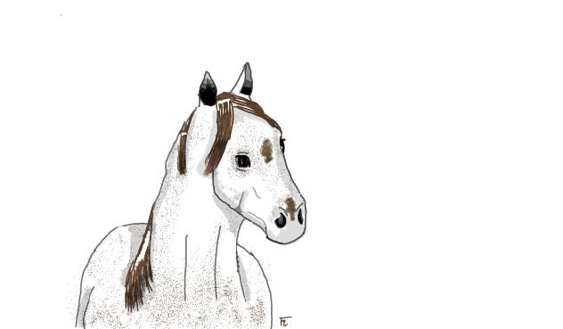 Horse - ibisPaint