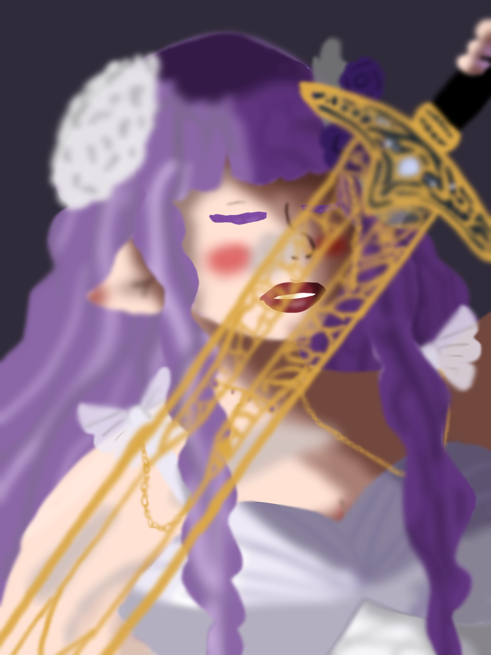The Lady in the sword - ibisPaint