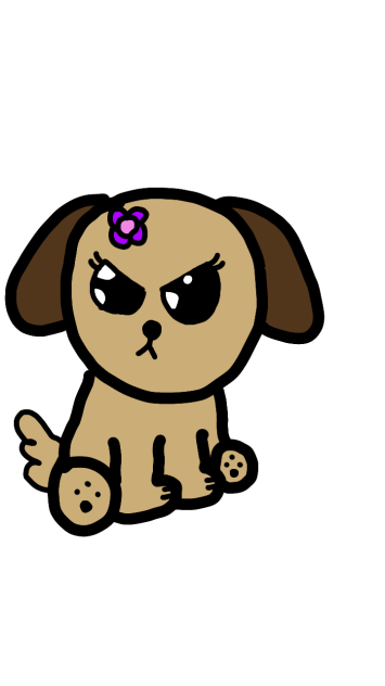 cute dog