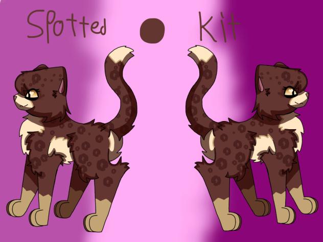 SpottedKit, remake, Warrior Cats OC.