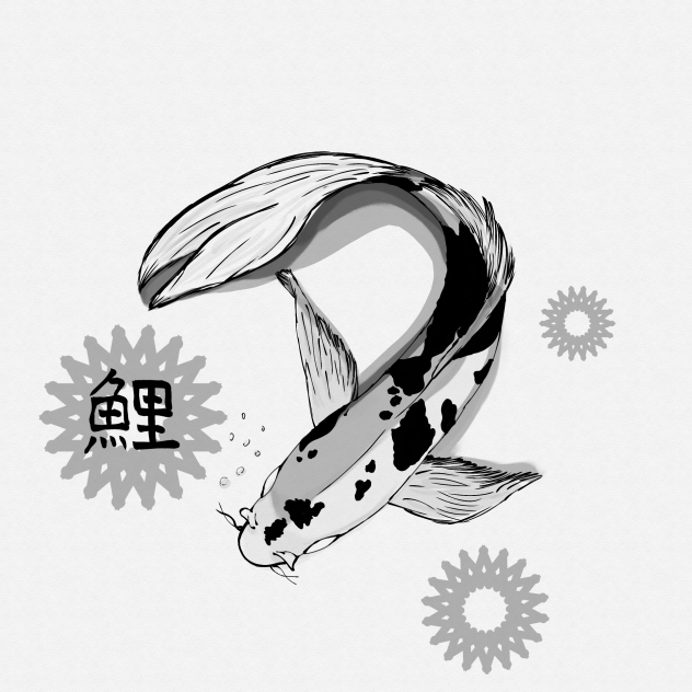 鯉 Koi