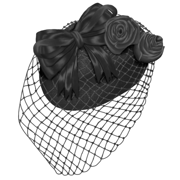 Funeral Veil ibisPaint