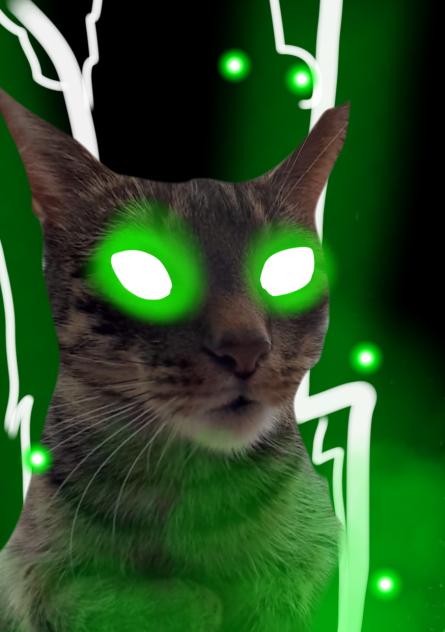 K O T A.