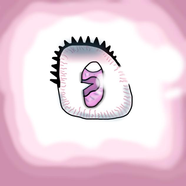 Eye