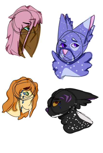 sketches